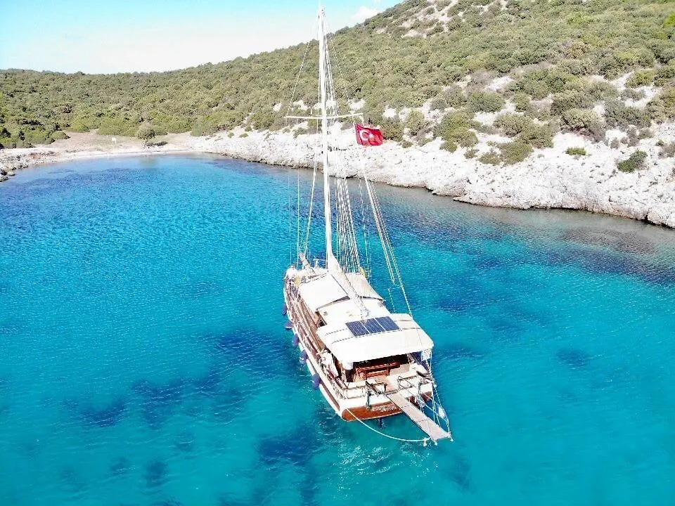 Saracoglu Vip Bodrum