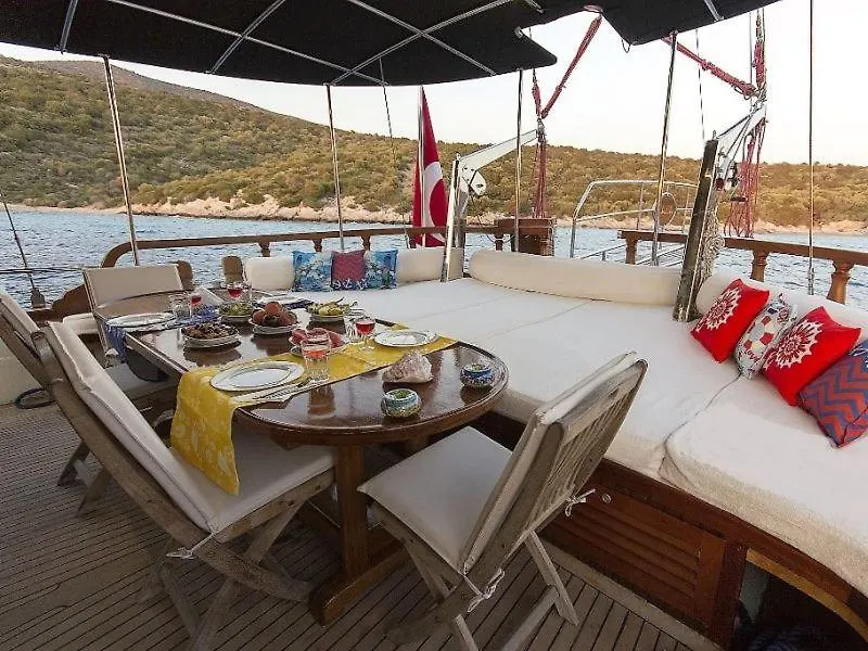 Saracoglu Vip Bodrum Turkey